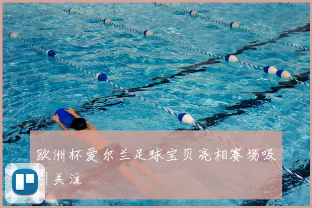 欧洲杯爱尔兰足球宝贝亮相赛场吸引关注