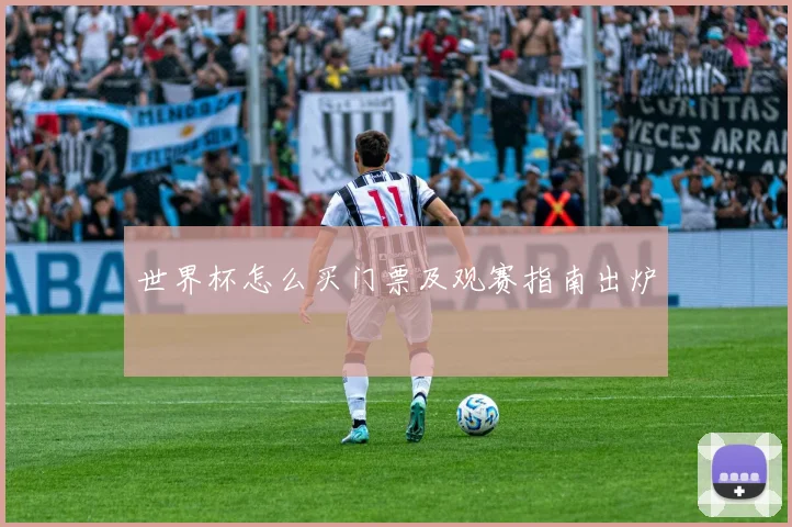世界杯怎么买门票及观赛指南出炉