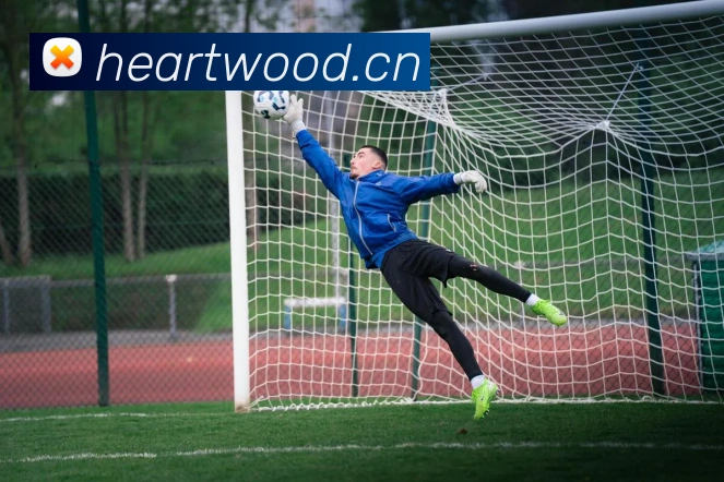 开云综合app官网登录品牌故事