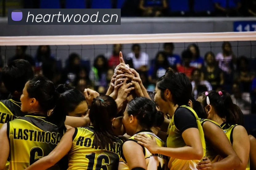 开云综合app官网登录服务体系